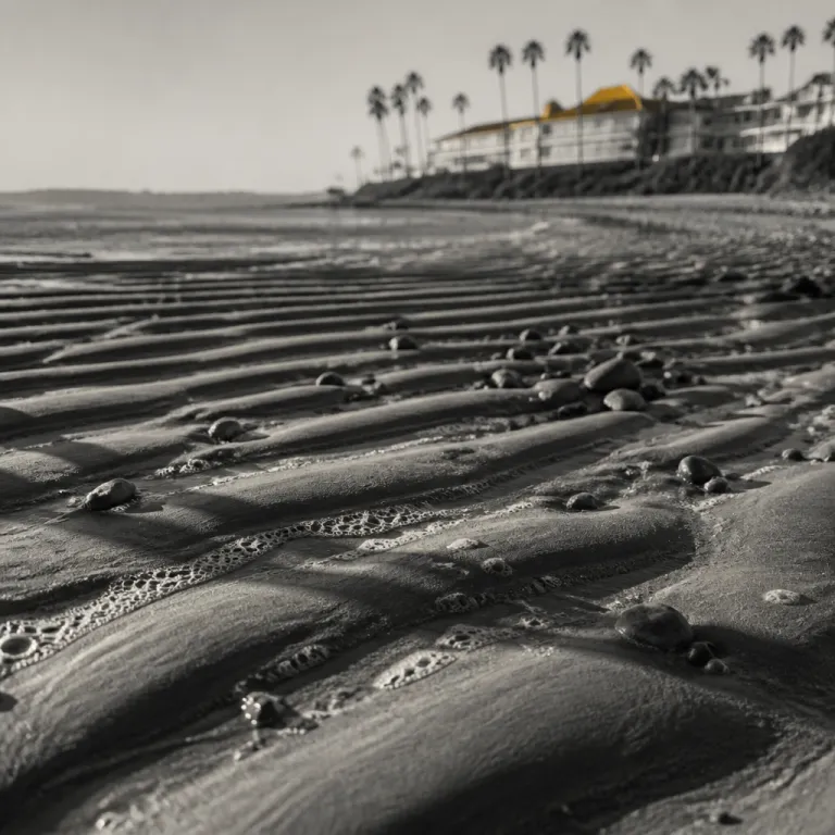 San Diego Weather by Month: How to Match Your Hotel Stay to the Seasons