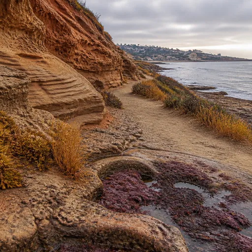 La Jolla Hiking Trails in California: How They Shape Your San Diego Hotel Choice